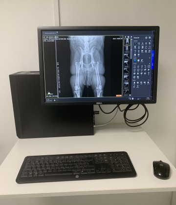 Přímá digitalizace rentgenů